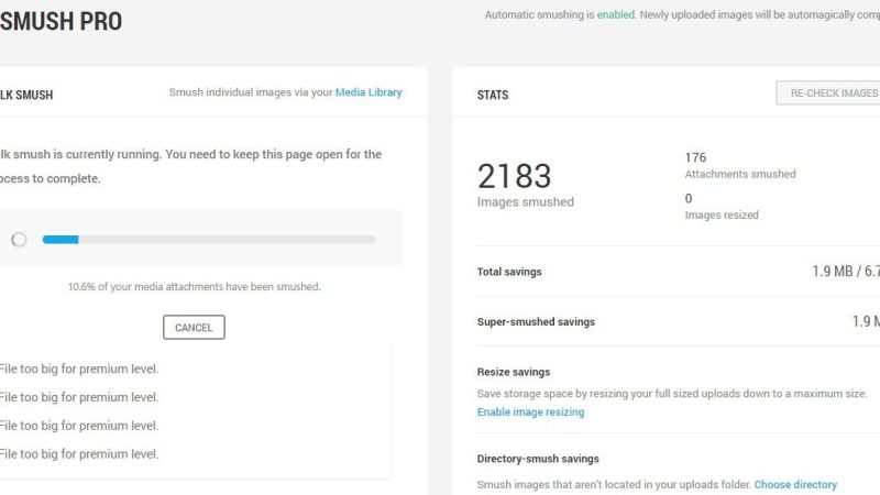 WP SMUSH PRO Eklentisiyle WordPress’teki Tüm Görselleri Kayıpsız Sıkıştırma