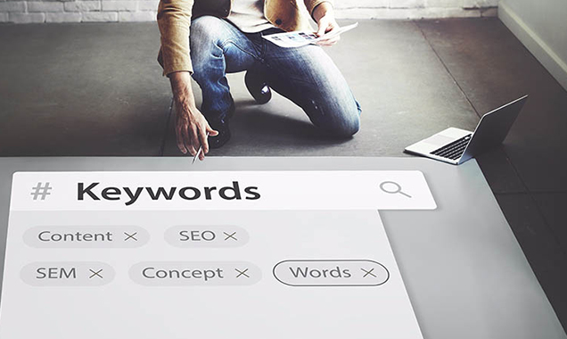 Profesyonel SEO Hizmetleri